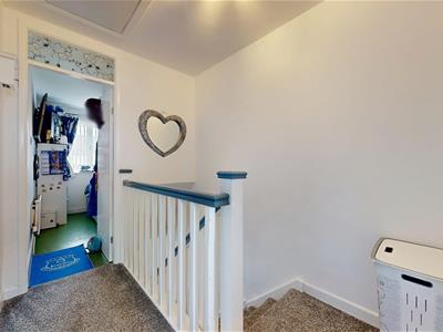 Picture 14